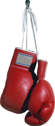 Boxing gloves